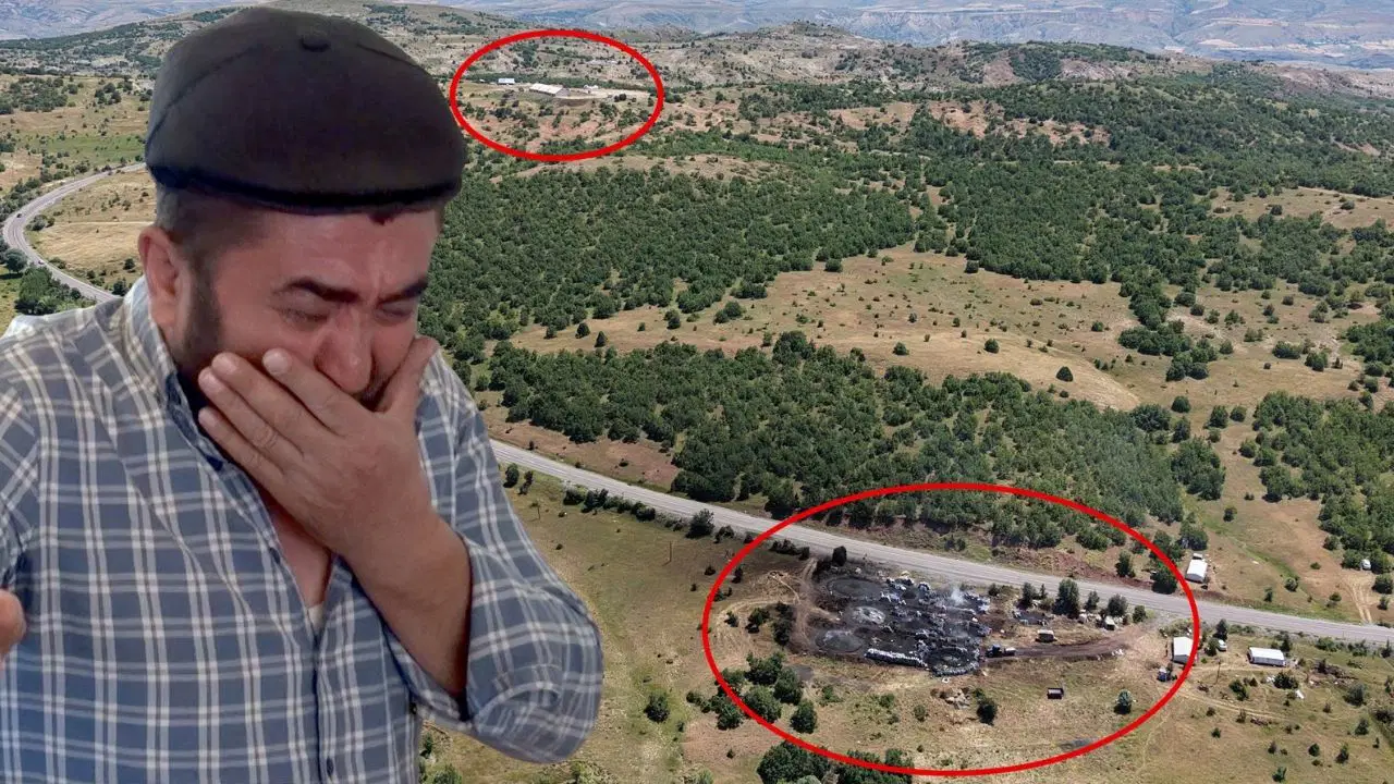 Sivasta duman faciasi iddiasi 5 gunde 9 buzagisi olen besici gozyaslariyla yardim istedi jb4QBtLI